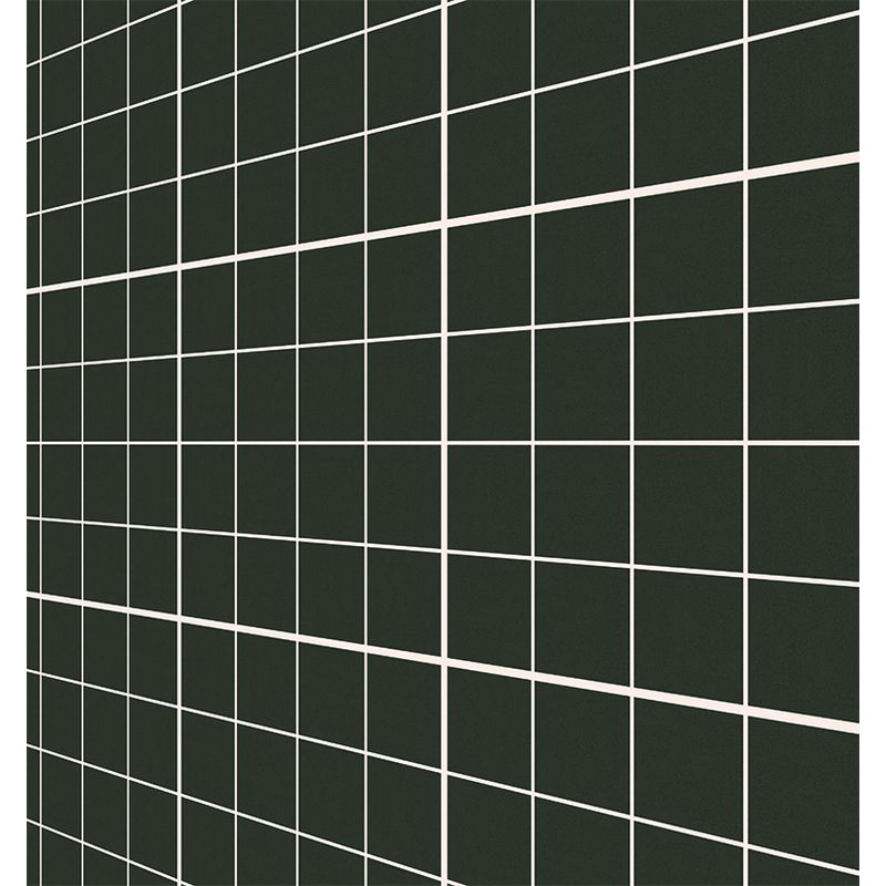 PS04VE433 - tendido pared